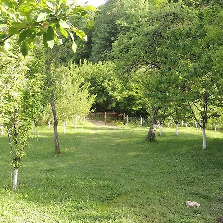 Holiday Green Hill 度假居 *