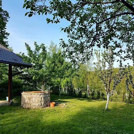 Holiday Green Hill 度假居 Racic