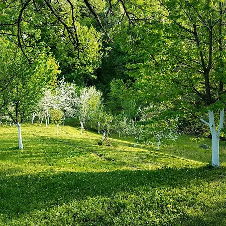 Holiday Green Hill 度假居 Racic