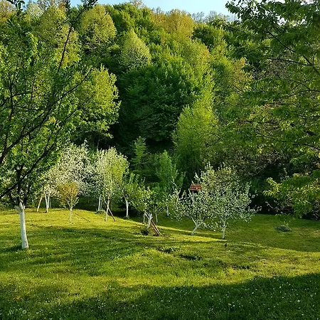 Holiday Green Hill 度假居