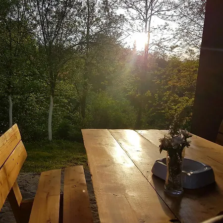 Holiday Green Hill *