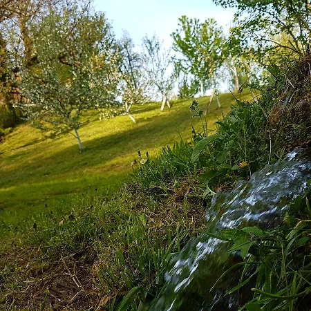 度假居 Holiday Green Hill *