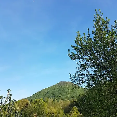 度假居 Holiday Green Hill Racic