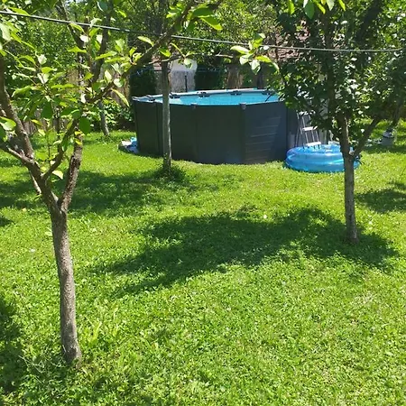 Holiday Green Hill * Racic